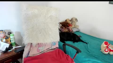 Sarah online show from 14, 12, 2025