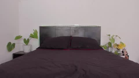 Girl next door online show from 13, 1, 2025