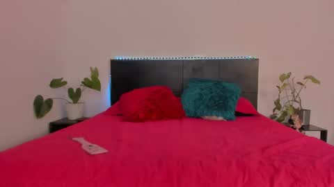 Girl next door online show from 21, 1, 2025