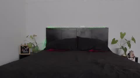 Girl next door online show from 31, 1, 2025