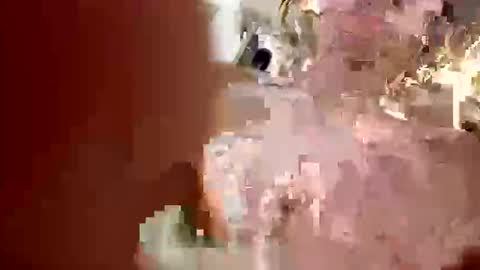 Snapshot of sassysquirtsmmm chatting on 20, 12, 2025 sassysquirtsmmm online show from 20, 12, 2025