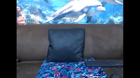 Snapshot of sasyylissaa chatting on 3, 3, 2025 sasyylissaa online show from 3, 3, 2025