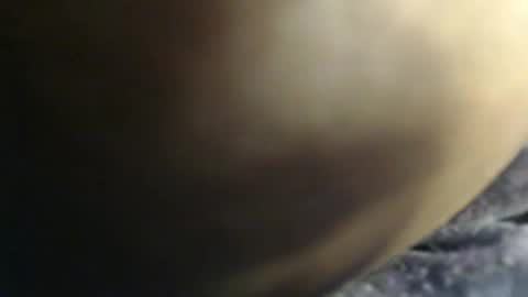 Snapshot of sauce_pety chatting on 3, 2, 2026 pety online show from 3, 2, 2026