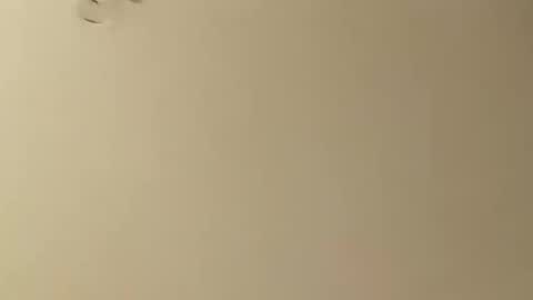 Snapshot of saucybear666 chatting on 26, 1, 2025 SnowBunny online show from 26, 1, 2025