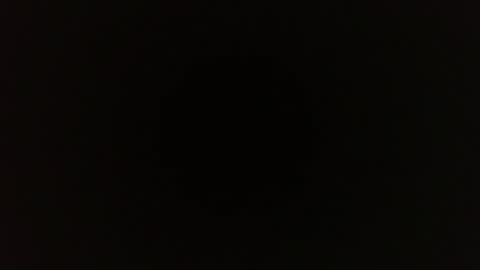 saugeil123 online show from 16, 1, 2026