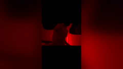 sbsesh online show from 14, 2, 2026