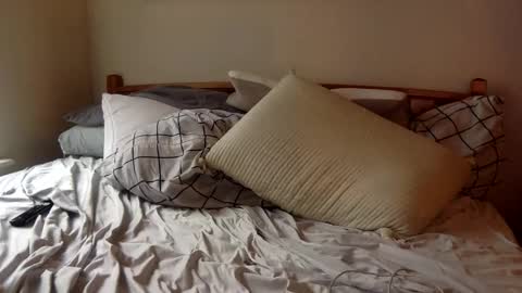 Stripper in Training online show from 11, 2, 2026