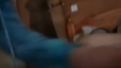 scamp12 online show from 21, 10, 2025