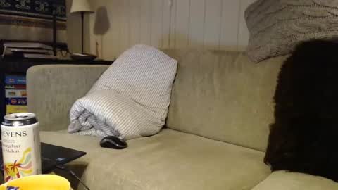 Snapshot of scandxx chatting on 1, 3, 2026 Scand online show from 1, 3, 2026