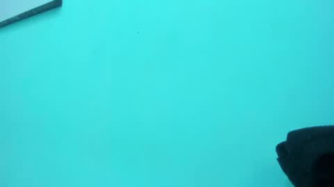 scarlett_fox20 online show from 13, 5, 2026