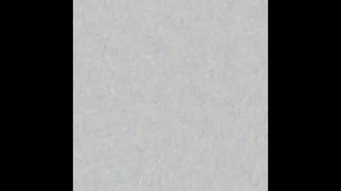 Scolw  online show from 17, 12, 2025