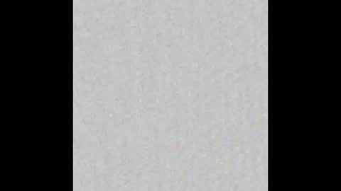 Scolw  online show from 14, 1, 2026