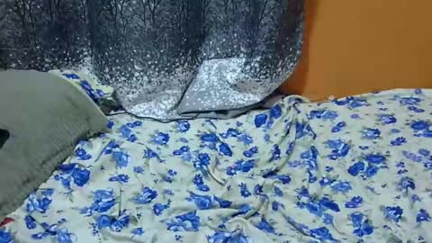 Its Lilly online show from 24, 1, 2025