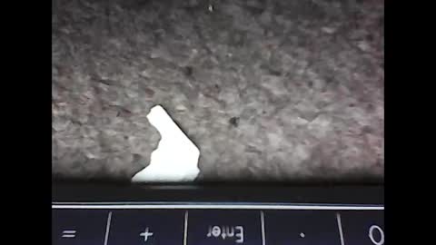 scots_repeater online show from 14, 2, 2025