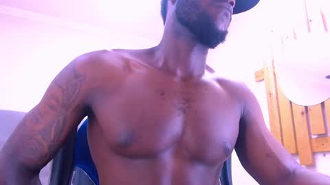 Damar online show from 10, 11, 2025