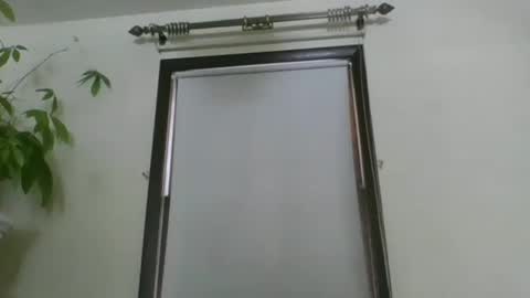 scottpbi52 online show from 21, 12, 2024