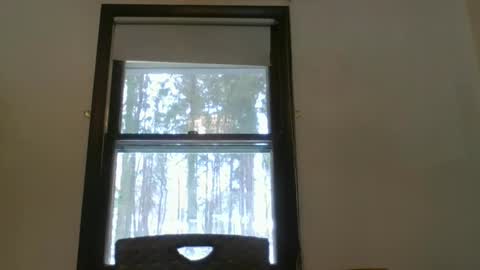 scottpbi52 online show from 15, 2, 2025