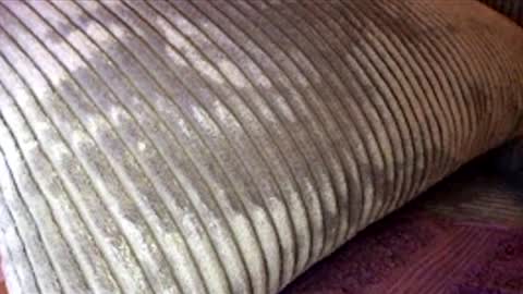 Snapshot of scotty2hotty46_ chatting on 21, 2, 2026 scotty2hotty46_ online show from 21, 2, 2026