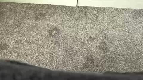 Snapshot of scottyc48 chatting on 21, 3, 2026 scottyc48 online show from 21, 3, 2026