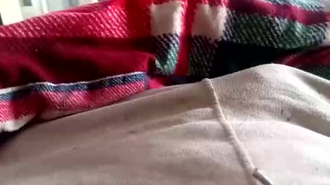 Snapshot of scotycar0408 chatting on 16, 3, 2026 scotycar0408 online show from 16, 3, 2026