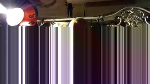 Snapshot of scoutiii chatting on 15, 10, 2025 scoutiii online show from 15, 10, 2025