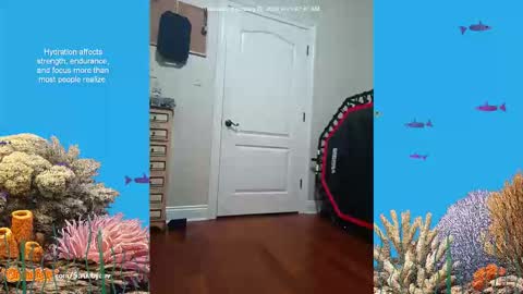 Snapshot of scrubbyluv chatting on 26, 2, 2026 ScrubbyLuv online show from 26, 2, 2026