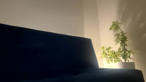 Sean pablo Sanz online show from 2, 4, 2026