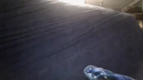 Snapshot of secret18slaveanon chatting on 24, 2, 2026 Sunny online show from 24, 2, 2026