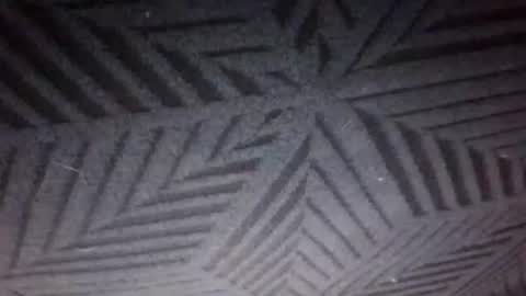 Sunny online show from 12, 3, 2026