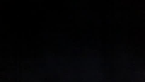 Sunny online show from 17, 3, 2026