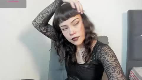 seijacu  online show from 3, 12, 2025