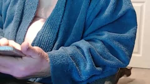 selkie2s online show from 22, 2, 2025