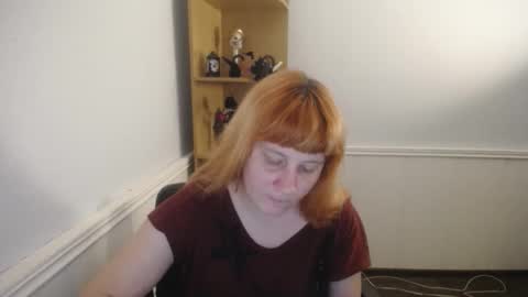 Snapshot of sellavix chatting on 3, 4, 2026 Sellavix online show from 3, 4, 2026