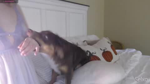 Snapshot of selxo chatting on 20, 10, 2025 Sel online show from 20, 10, 2025