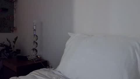 Cam online show from 29, 11, 2025