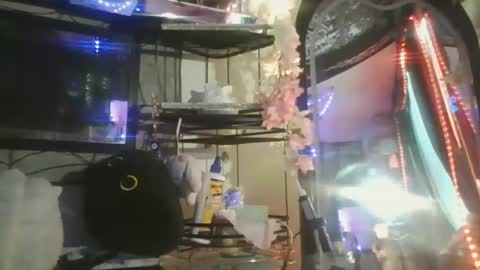 Snapshot of sequoia8888 chatting on 29, 10, 2025 sequoia8888 online show from 29, 10, 2025