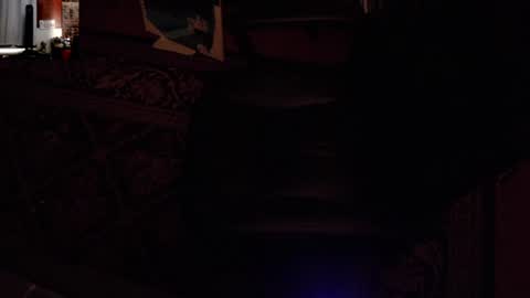 Snapshot of seraphyx33 chatting on 7, 8, 2026 seraphyx33 online show from 7, 8, 2026