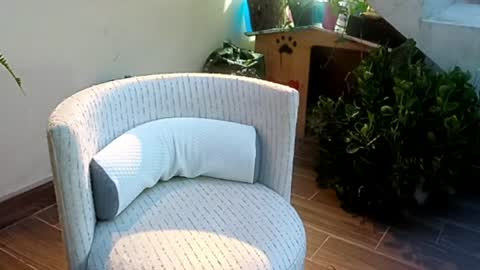 Snapshot of sexander221 chatting on 24, 6, 2026 SeXander online show from 24, 6, 2026