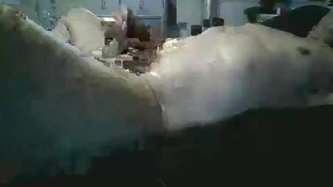 sexboy1437 online show from 24, 11, 2025