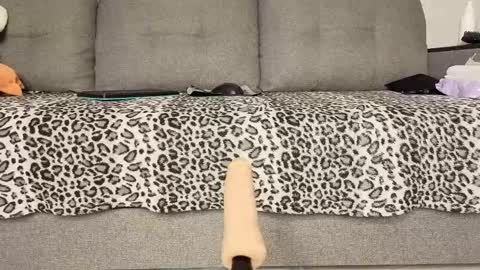 Xenia online show from 16, 3, 2026