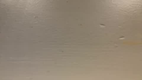 sexislitpuss69 online show from 1, 1, 2025