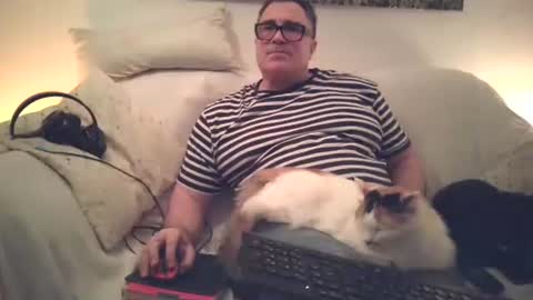 Sexurbation online show from 29, 11, 2025