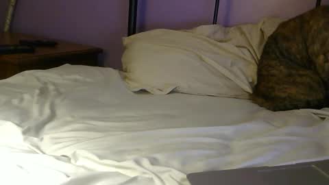 Snapshot of sexxxylibra10 chatting on 25, 4, 2026 sexxxylibra10 online show from 25, 4, 2026