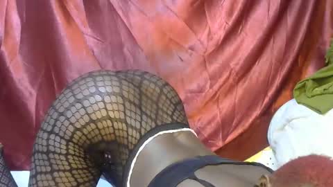 triza online show from 21, 9, 2025