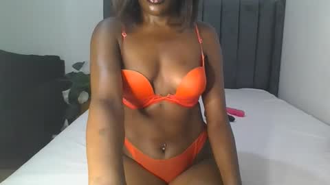 Arria online show from 17, 2, 2026