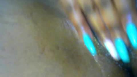 Lisa online show from 19, 11, 2025