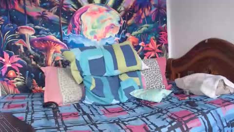 Mike online show from 14, 1, 2026