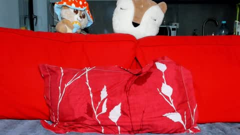 Ari online show from 16, 12, 2024