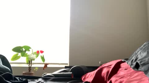 Snapshot of sexyhornyman1993 chatting on 2, 6, 2026 sexyhornyman1993 online show from 2, 6, 2026