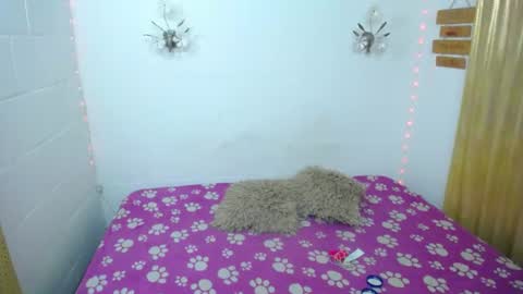 Snapshot of sexykata_of chatting on 27, 6, 2026 Kata sexy online show from 27, 6, 2026